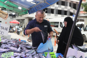Rize'de Palamut Bolluğu Balıkçı Tezgahlarındaki Fiyatları Düşürdü