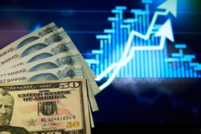 Dolar/TL 49,1630 seviyesine ulaşarak tüm zamanların rekorunu kırdı