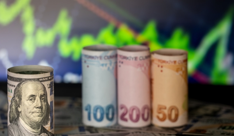 Küresel Piyasalarda Dolar Gerilerken İç Piyasada Döviz Kurları Rekor Seviyelere Ulaştı